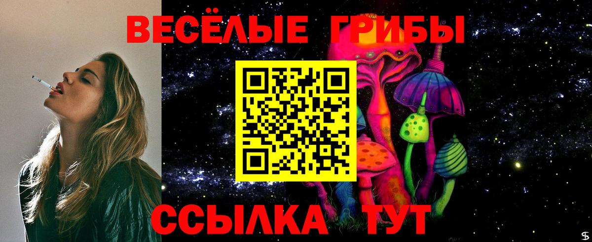Галлюциногенные грибы Psilocybe Чернушка